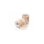 3M Bande Élastique Adhésif 4.5mx7.5cm 1 Unité