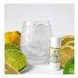 Valdispharm Eau Exquise Les Trois Citrons Eau Aromatisée 10ml