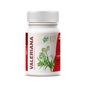 GHF Valeriana 600mg 60cáps 600mg 60cáps