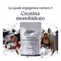 HSN Creatina Monohidrato en Polvo 150g