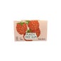 True Gum Chewing-gums Sans Sucre Framboise et Vanille 24x21 g