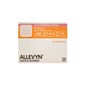 Allevyn Gentle Pans 10X10Cm 10