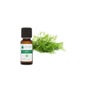 Voshuiles Huile Essentielle D'Aneth (Anethum Sowa) 10ml