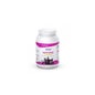 Etixx Isotonic Orange Isotonique / mangue 1kg