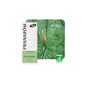 Scots Pine Bio 10ml Huile Essentielle