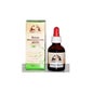 Herbes Phytoblast Bouleau Verrucosa Lymph 50Ml