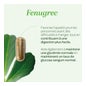 Superdiet Fenugrec Bio 40 Gélules