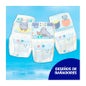 Dodot Splashers Talla 5 12-15kgrs