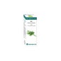Bio Huile Essentielle Eneldo 10 Ml.