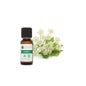 Voshuiles Huile Essentielle D'Angélique 5ml