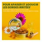 Santarome Propolis Royale Gommes Propolis Bio 45 Gommes