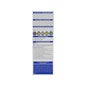 Phytosolba Phytocolor 4 Chatain + Huile d'Ales 40 mL