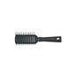 3 Claveles brosse squelette 22cm