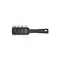 3 Claveles brosse squelette 22cm