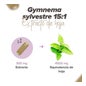 HSN Extracto de Gymnema Sylvestre 15:1 300mg 120vcaps