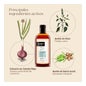 Nuggela & Sulé Shampooing à l'oignon N2 Cheveux secs 250ml
