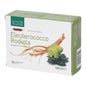 Ligne de Plantes Rhodiola Eleutherococcus 10x15ml