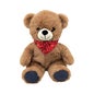 Plic Bouillotte Peluche Teddie 150 gr 1 ut