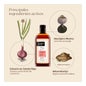 Nuggela & Sulé Shampooing Epigénétique Cheveux Gras 250 ml