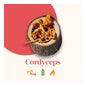 French Mush Cordyceps Bio 56 Gélules