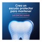Oral-B Dentifrice Original Pour la Réparation des Gencives et de l'Émail 2x75ml