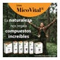 100% Natural Micovital Crinière de Lion 60caps