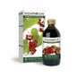 Dr. Giorgini Sarsepareille 200ml
