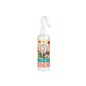 Prady Désodorisant Spray Maison Oriental Dragon 220ml