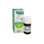 Phytosun'A He Ment Poiv Bio 10Ml