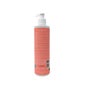 Valquer Booster Especial Rizos 275ml