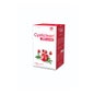Cysticlean 240mg PAC 60 Capsules Végétales