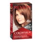Revlon Colorsilk 54 Kit Colorsilk brun doré clair