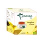 Irati Jengibre Jengibre Citrus Bio Caja 10 Pir.