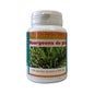France Herboristerie Brotes de Pino 200mg 100 Perlas