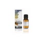 Romarin Camphre Bio 10ml Huile Essentielle