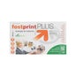 Soria Natural Fost Print Plus 20 ampoules