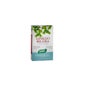 Santiveri Plantes Fit Ginkgo Biloba 40 Capsules