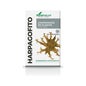 Harpagofito 60 Comp Soria Natural * Harpagofito 60 Comp Soria Natural *
