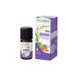Naturactive Carotte Hle Ess Bio