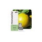 Huile Essentielle de Pamplemousse Bio 10ml