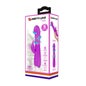 Pretty Love Molly Vibrateur Rotatif Rechargeable Lila 1ut