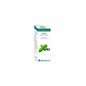 Bio Essential Oils Menthe 10 ml