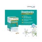 Granions Chondrostéo+ Articulations 90 Comprimés