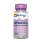 Solaray Boswellia 450mg 60caps