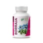 Ghf Bourrache 710mg 110 Perles