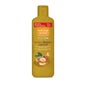 Gel de bain Elixir de miel et d'argan naturel 650ml