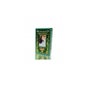 Radhe Shyam Hennatint Golden Brown 120ml