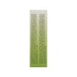 Duaflora Protect+ Prébiotiques et Probiotiques 30caps