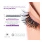 Sesderma Seslash Activateur De Croissance Cils Et Sourcils 5ml