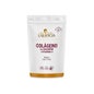 Ana Maria Lajusticia  Collagène Magnésium Vitamine C Goût Fraise 350g